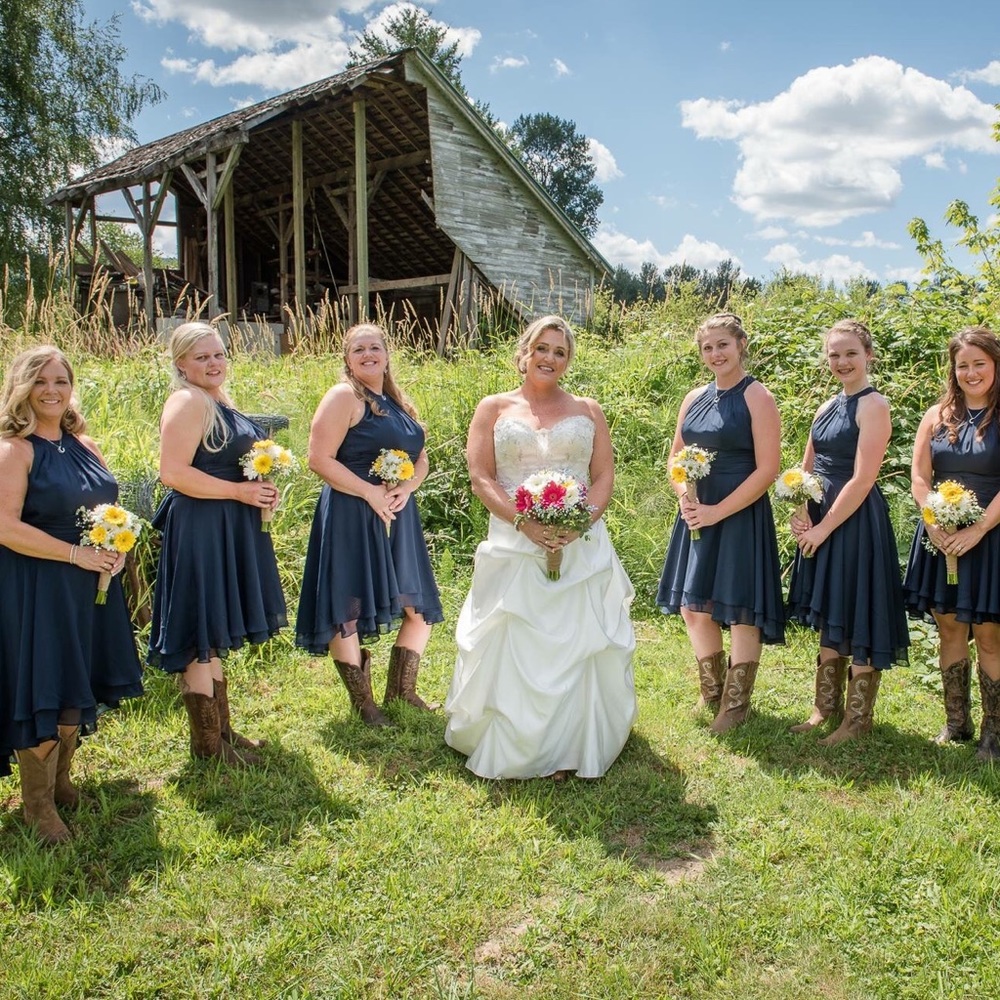 3 formal/bridesmaids dresses